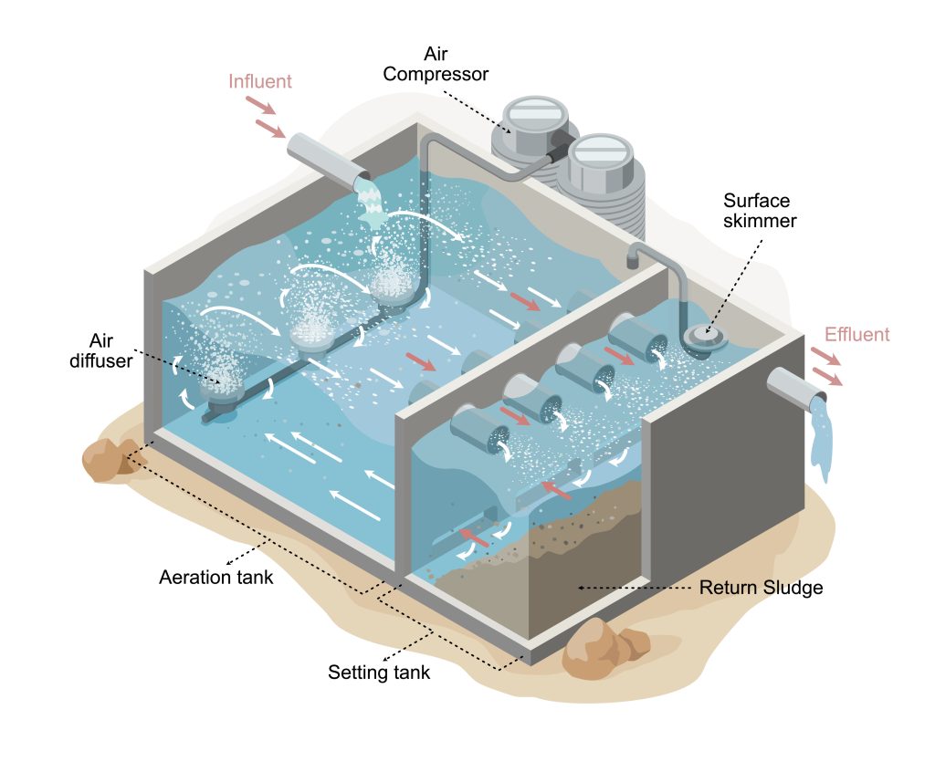 Diagram of a wastewater treatment process showing aeration tank, air diffusers, settling tank, and return sludge flow